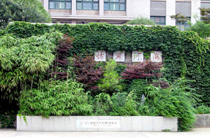 校园风景